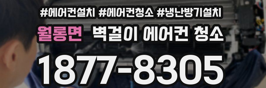 월롱면 벽걸이 에어컨 청소