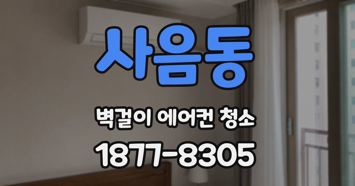 사음동 벽걸이 에어컨 청소