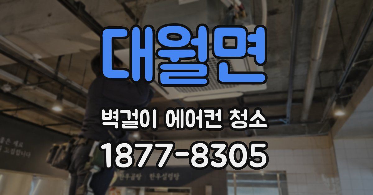 대월면 벽걸이 에어컨 청소