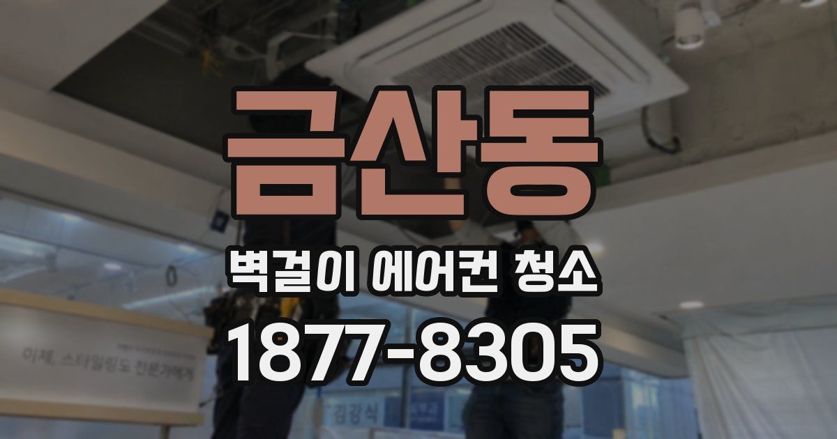 금산동 벽걸이 에어컨 청소