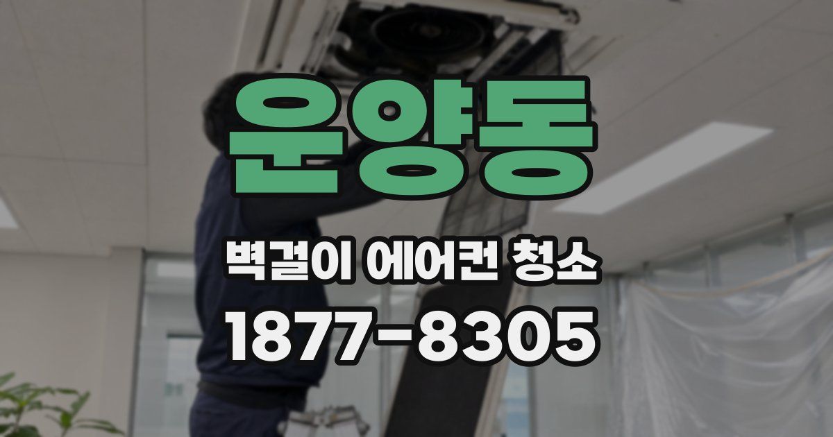 운양동 벽걸이 에어컨 청소