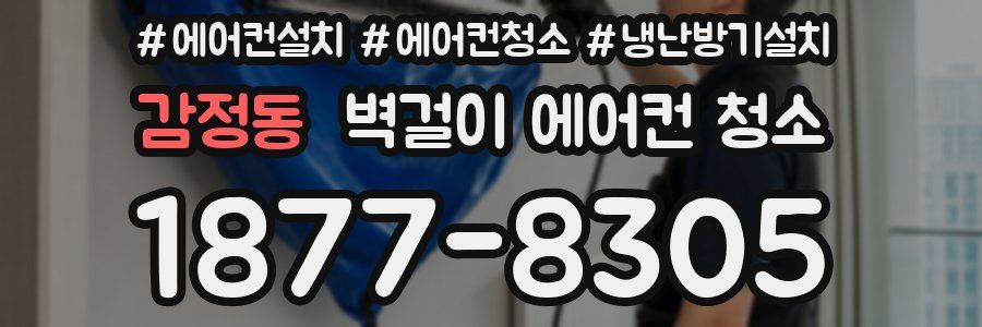 감정동 벽걸이 에어컨 청소