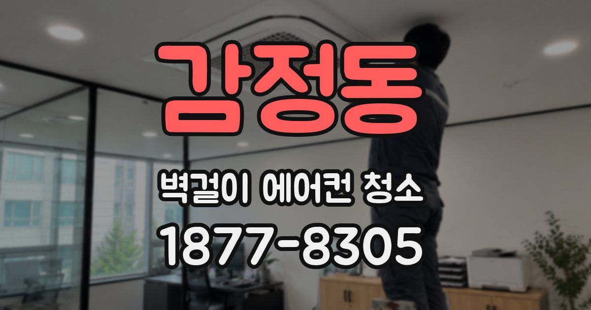 감정동 벽걸이 에어컨 청소
