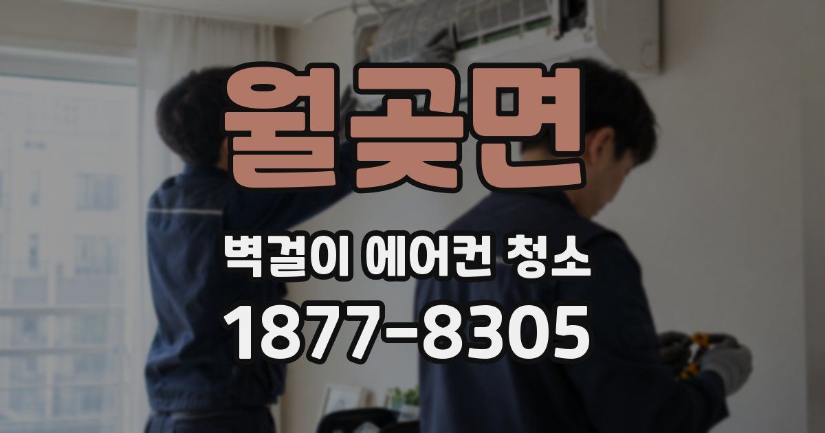 월곶면 벽걸이 에어컨 청소