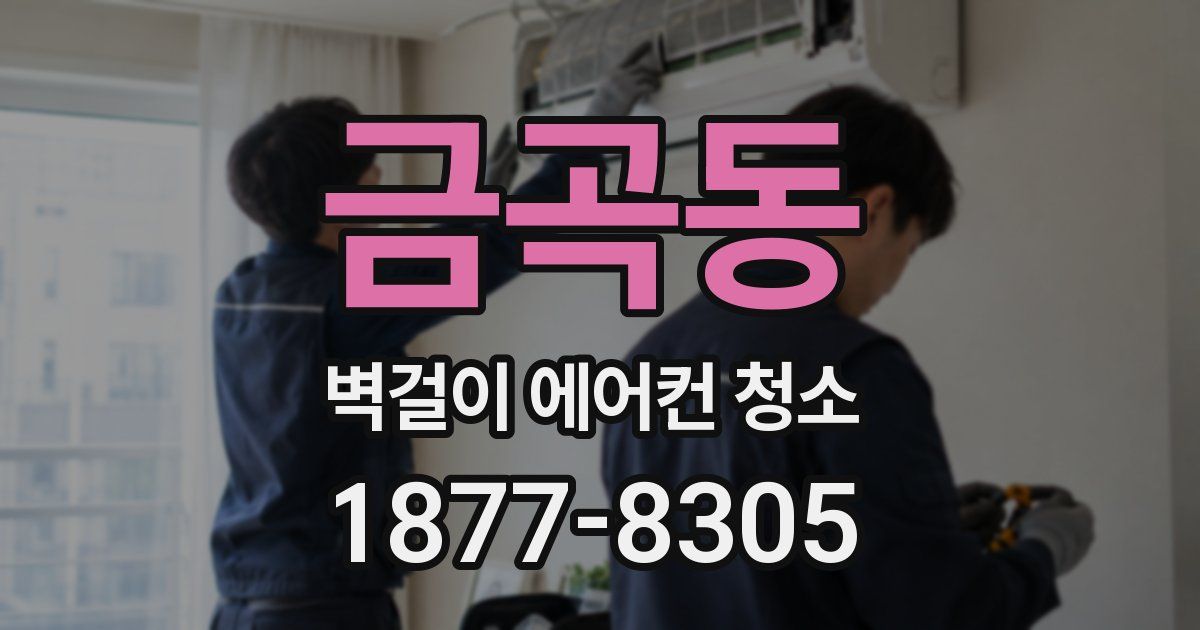 금곡동 벽걸이 에어컨 청소