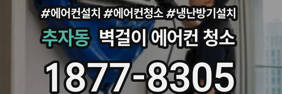 추자동 벽걸이 에어컨 청소