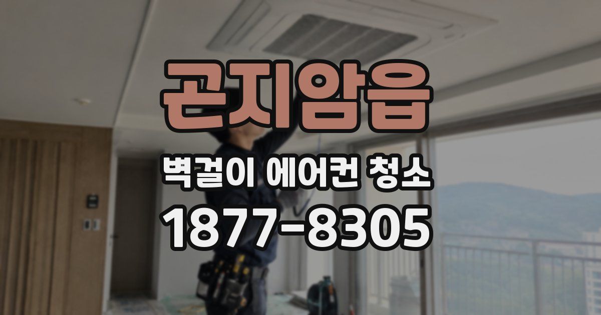 곤지암읍 벽걸이 에어컨 청소