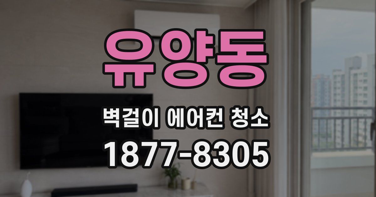 유양동 벽걸이 에어컨 청소