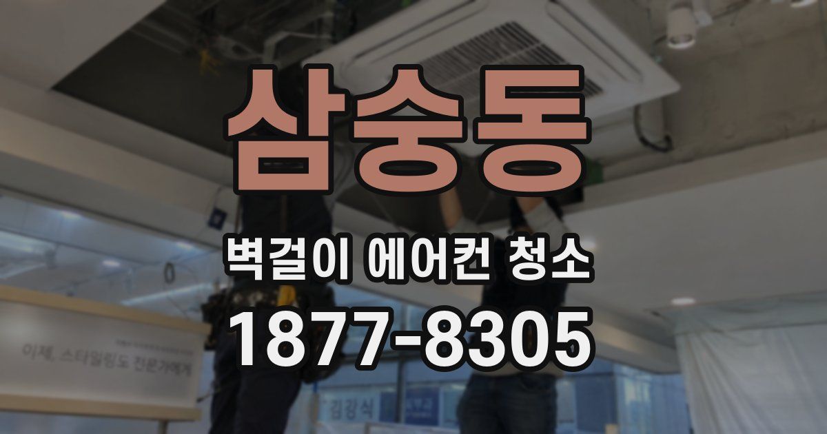 삼숭동 벽걸이 에어컨 청소