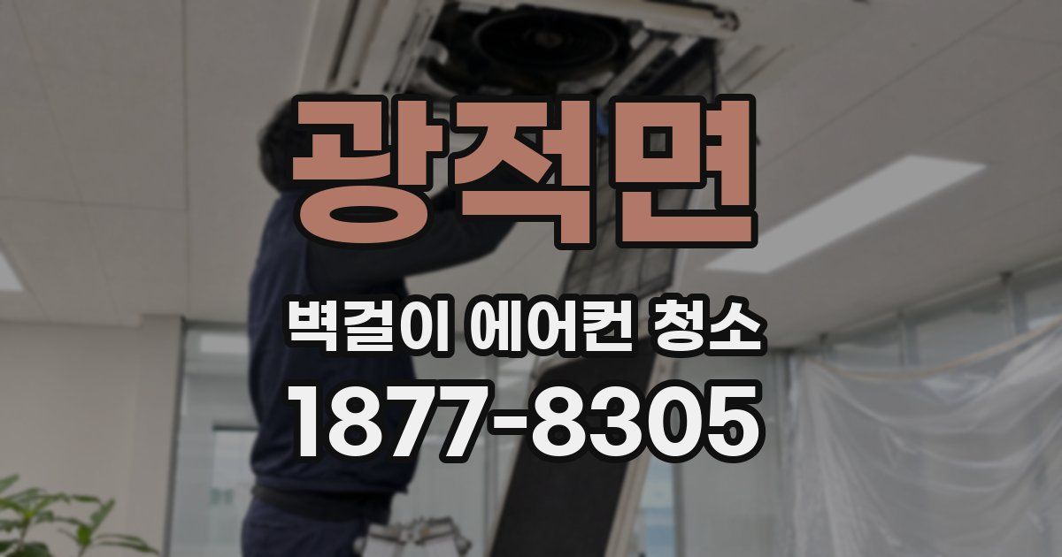 광적면 벽걸이 에어컨 청소