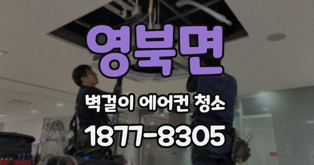 영북면 벽걸이 에어컨 청소