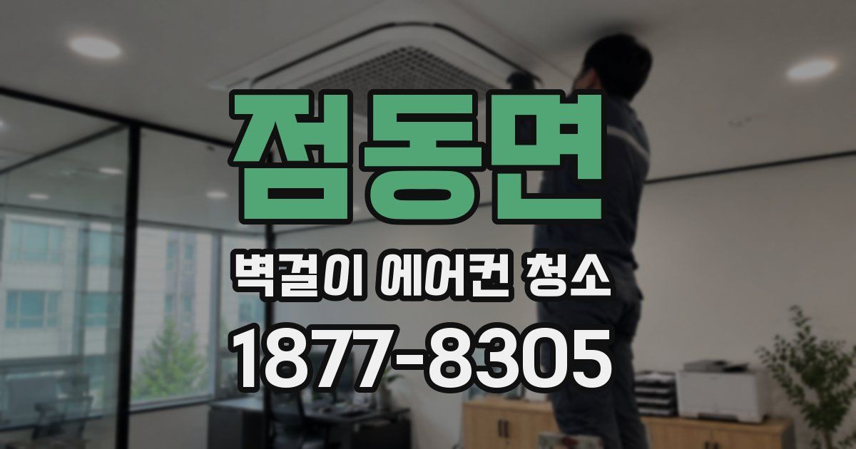 점동면 벽걸이 에어컨 청소
