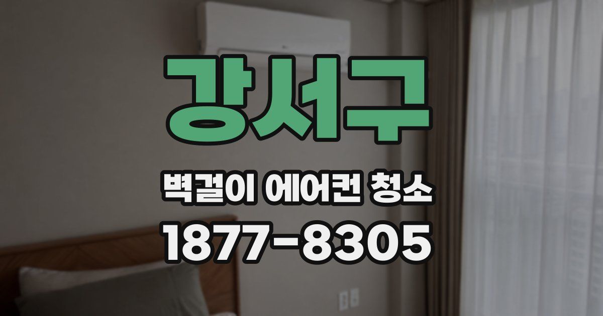 강서구 벽걸이 에어컨 청소