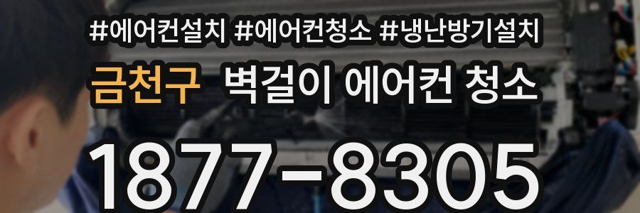 금천구 벽걸이 에어컨 청소