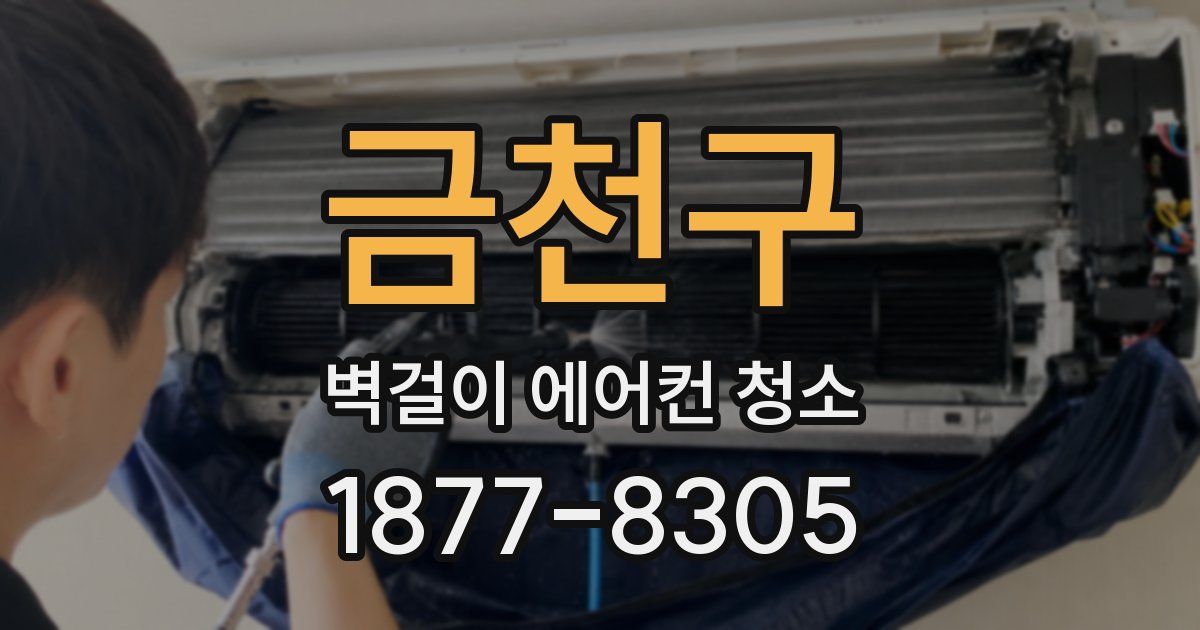 금천구 벽걸이 에어컨 청소