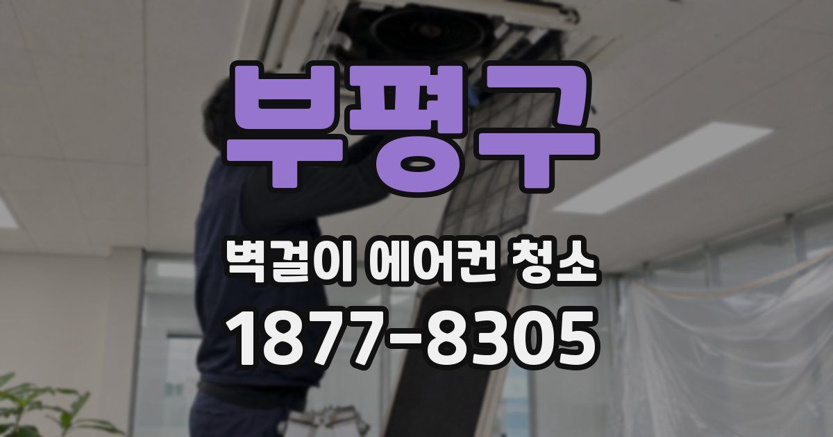 부평구 벽걸이 에어컨 청소