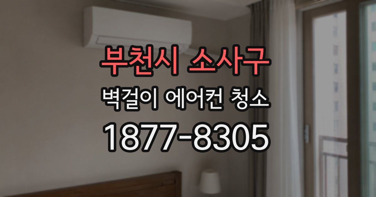 부천시 소사구 벽걸이 에어컨 청소