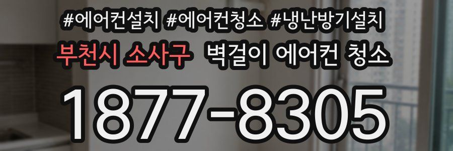 부천시 소사구 벽걸이 에어컨 청소