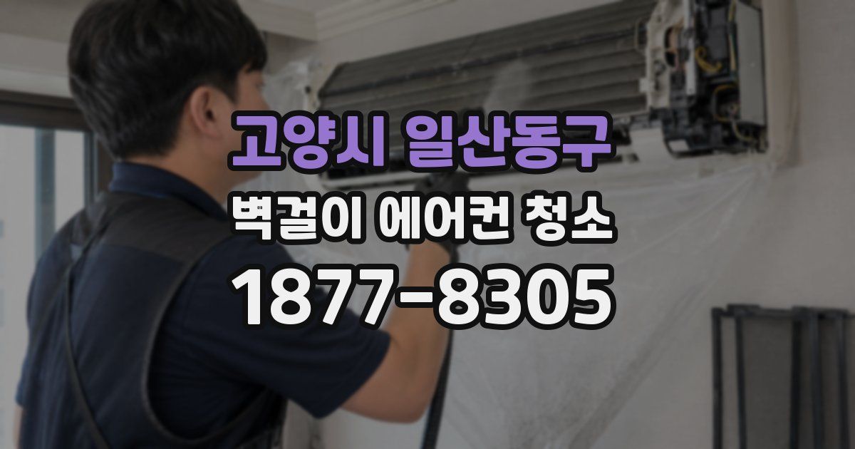 고양시 일산동구 벽걸이 에어컨 청소