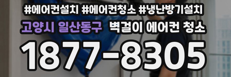 고양시 일산동구 벽걸이 에어컨 청소