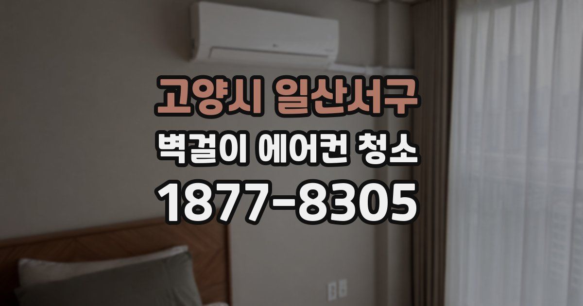 고양시 일산서구 벽걸이 에어컨 청소
