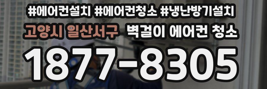 고양시 일산서구 벽걸이 에어컨 청소