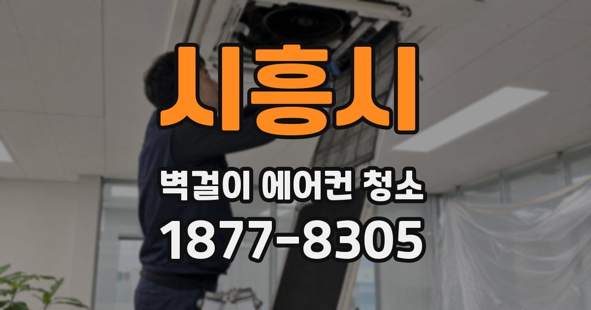 시흥시 벽걸이 에어컨 청소