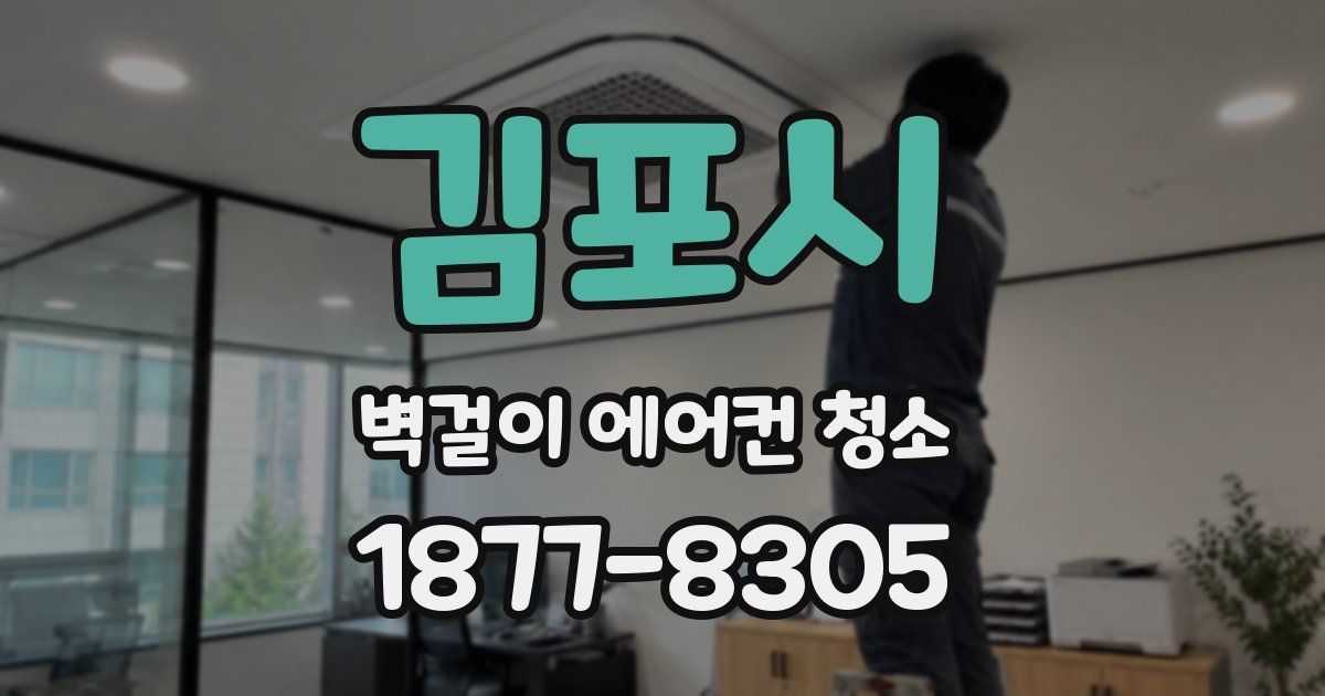김포시 벽걸이 에어컨 청소