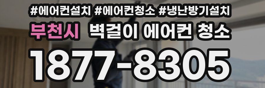 부천시 벽걸이 에어컨 청소