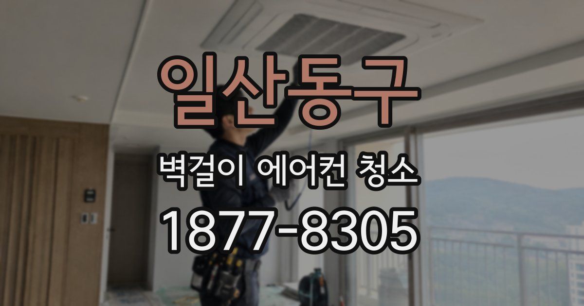 일산동구 벽걸이 에어컨 청소