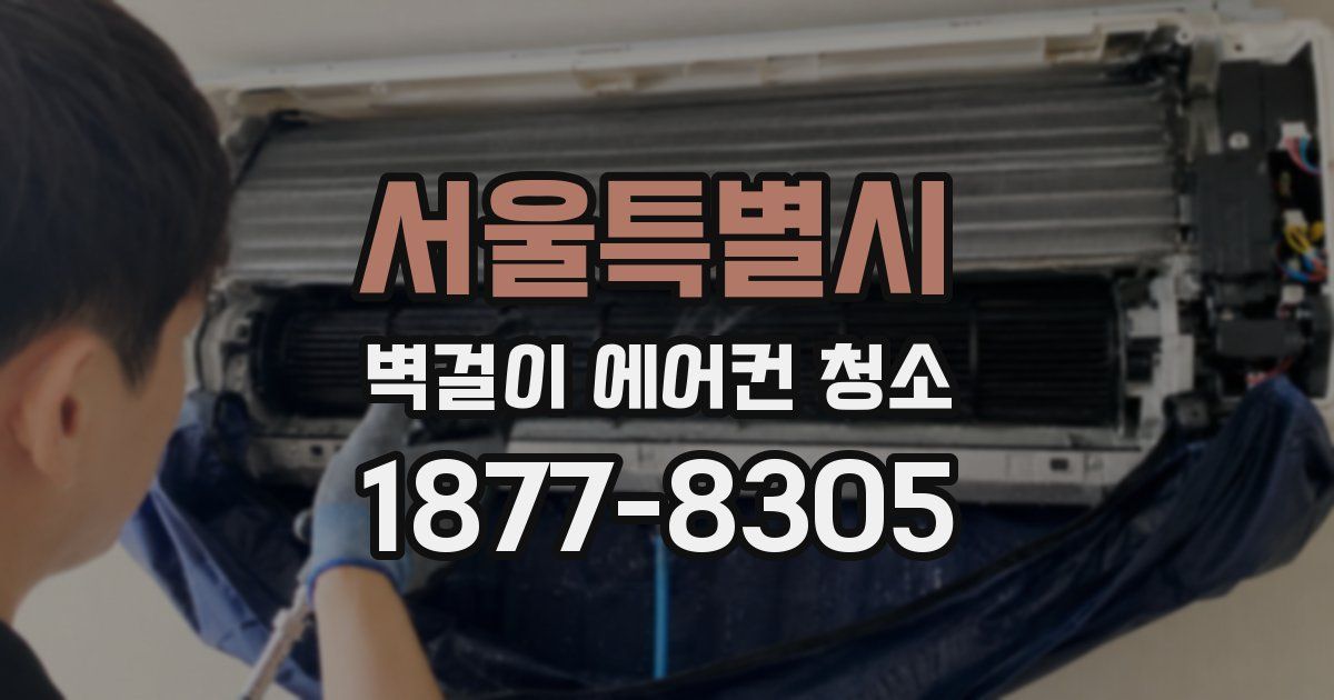 서울특별시 벽걸이 에어컨 청소