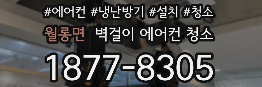 월롱면 벽걸이 에어컨 청소