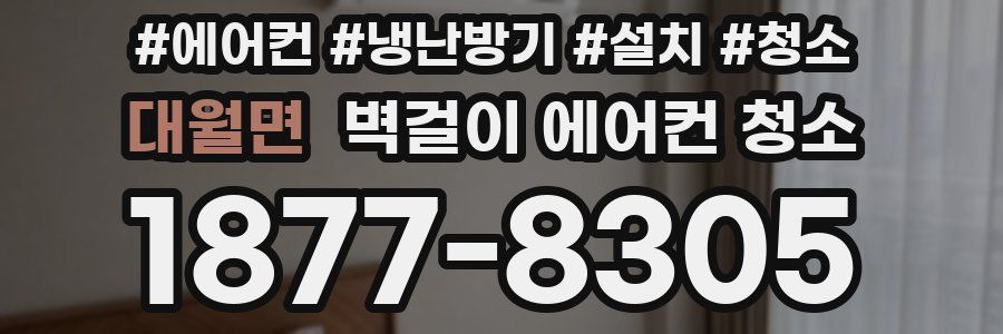 대월면 벽걸이 에어컨 청소