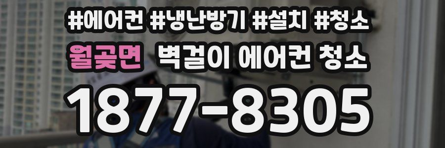월곶면 벽걸이 에어컨 청소