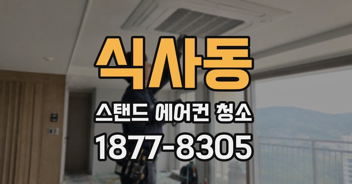 식사동 스탠드 에어컨 청소