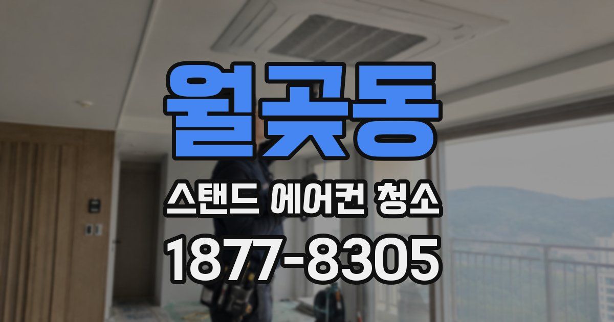 월곶동 스탠드 에어컨 청소