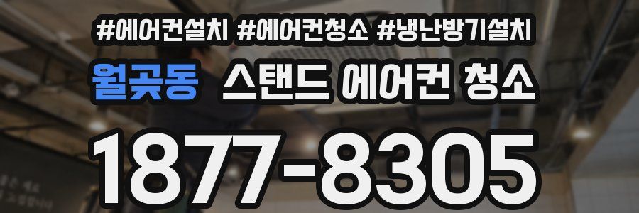 월곶동 스탠드 에어컨 청소