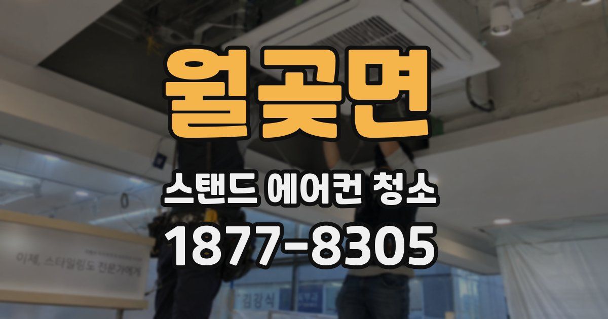 월곶면 스탠드 에어컨 청소