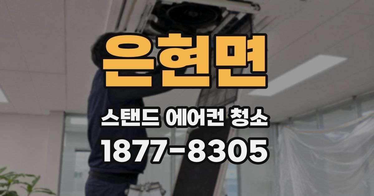 은현면 스탠드 에어컨 청소