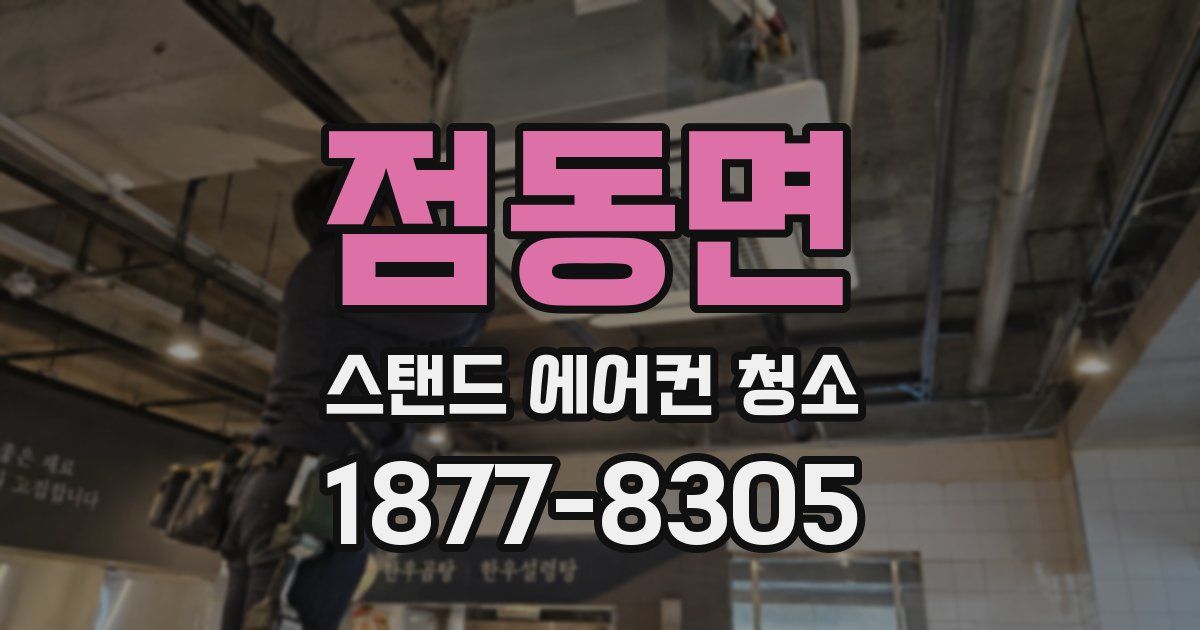 점동면 스탠드 에어컨 청소