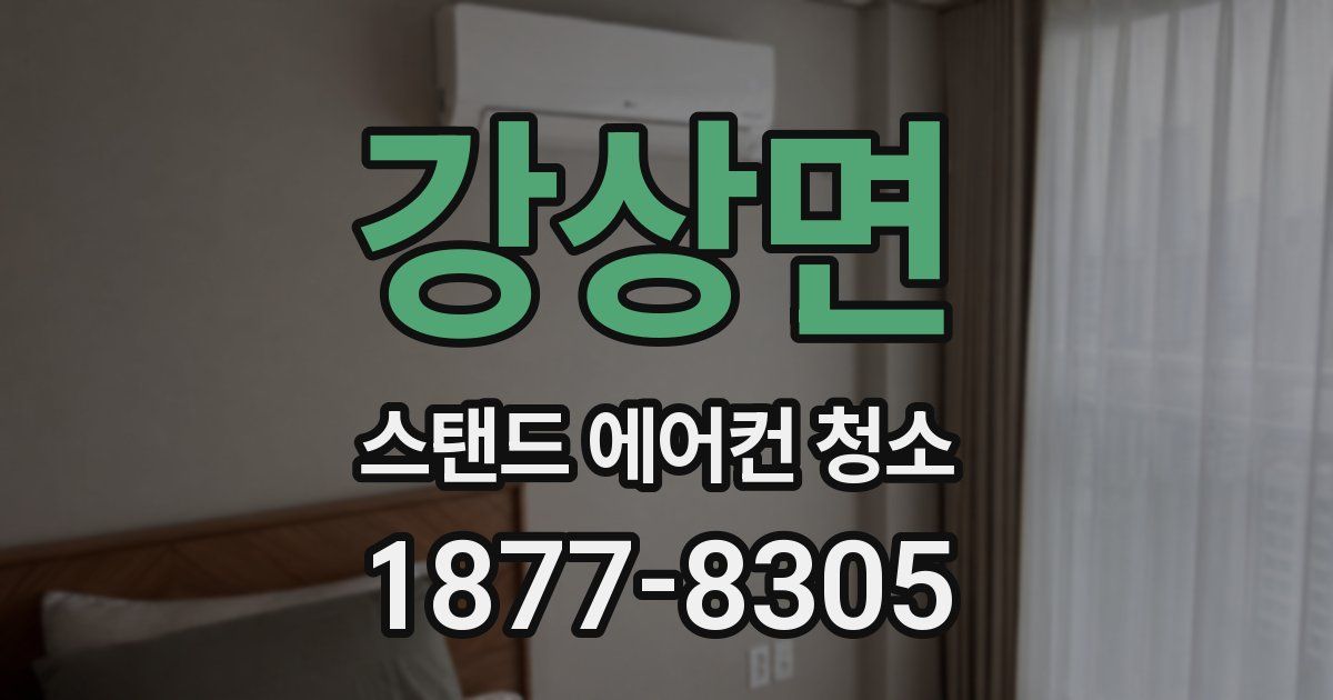 강상면 스탠드 에어컨 청소