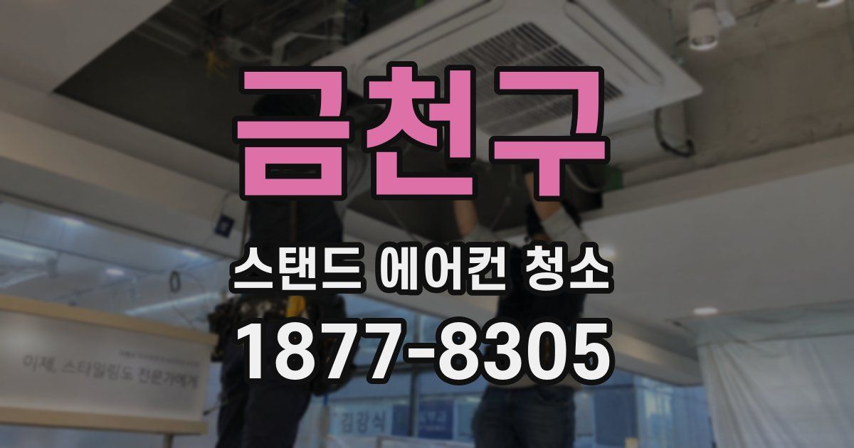 금천구 스탠드 에어컨 청소