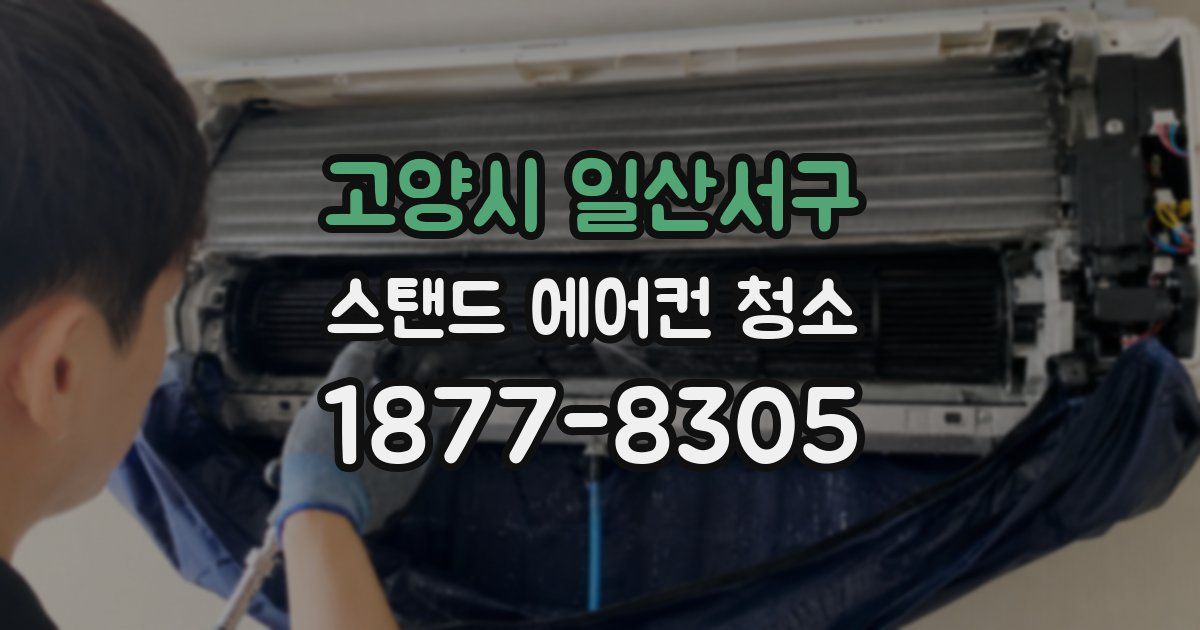 고양시 일산서구 스탠드 에어컨 청소