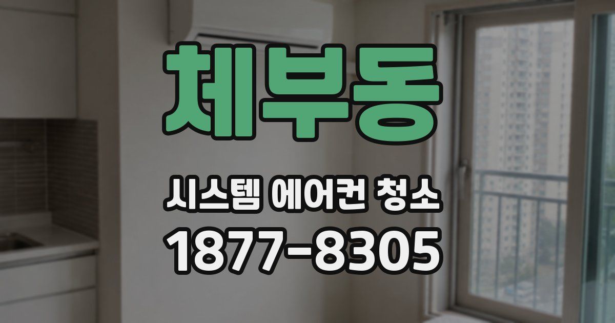 체부동 시스템 에어컨 청소