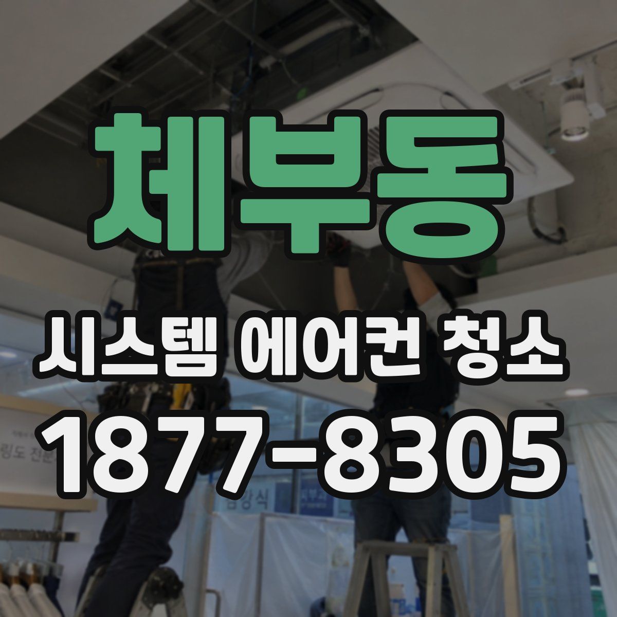 체부동 시스템 에어컨 청소