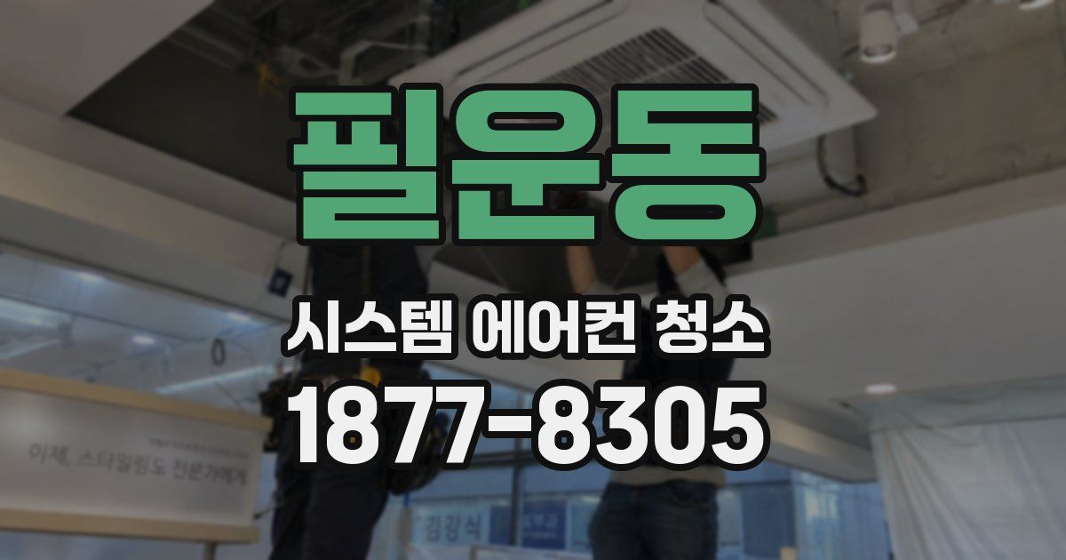 필운동 시스템 에어컨 청소