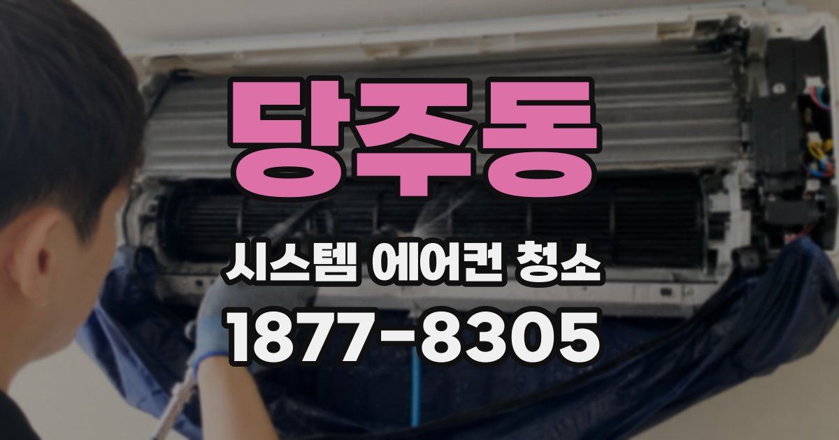 당주동 시스템 에어컨 청소