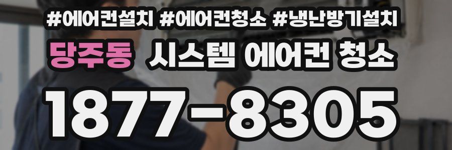 당주동 시스템 에어컨 청소