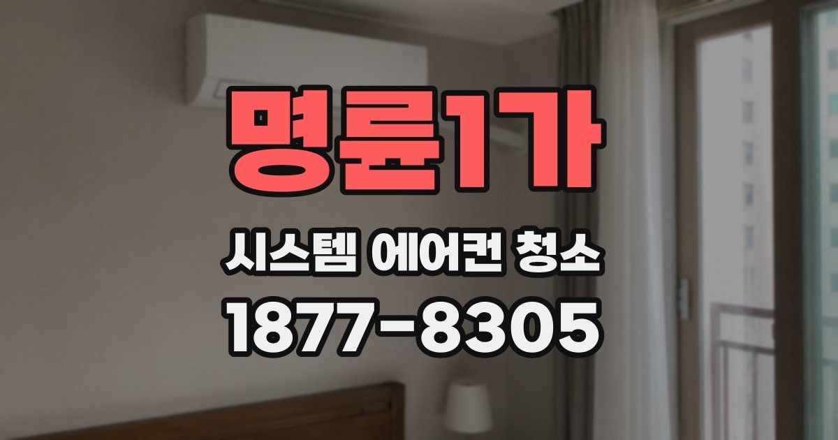 명륜1가 시스템 에어컨 청소