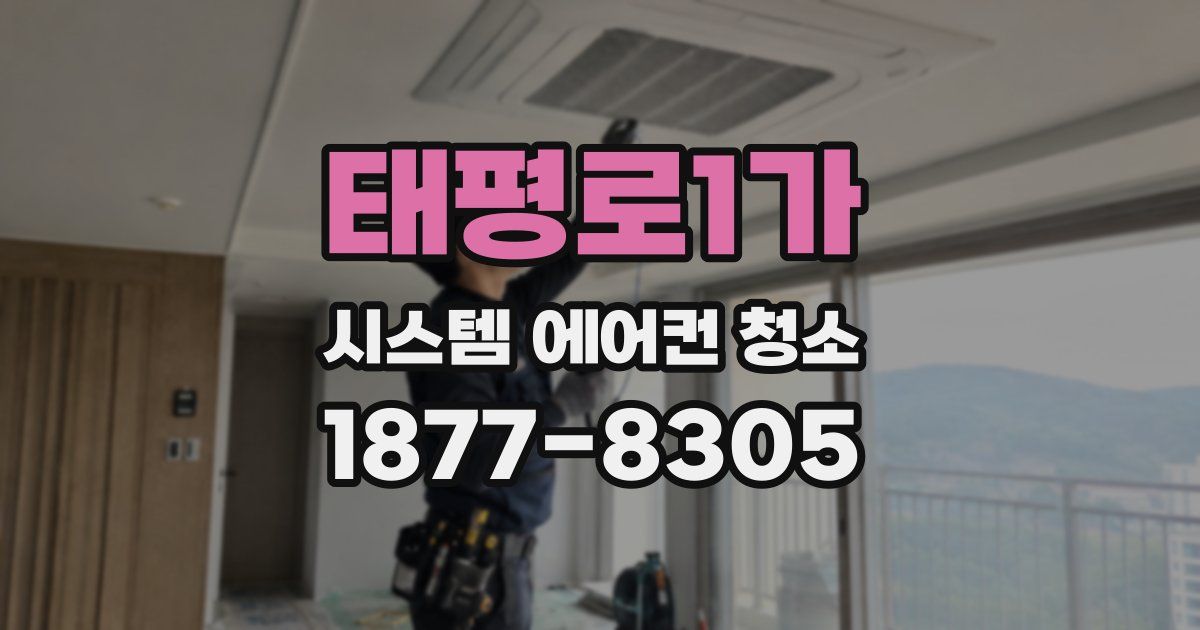 태평로1가 시스템 에어컨 청소